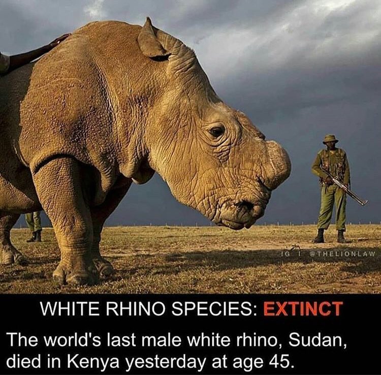 MithunManhas's tweet image. R we doing our bit ???