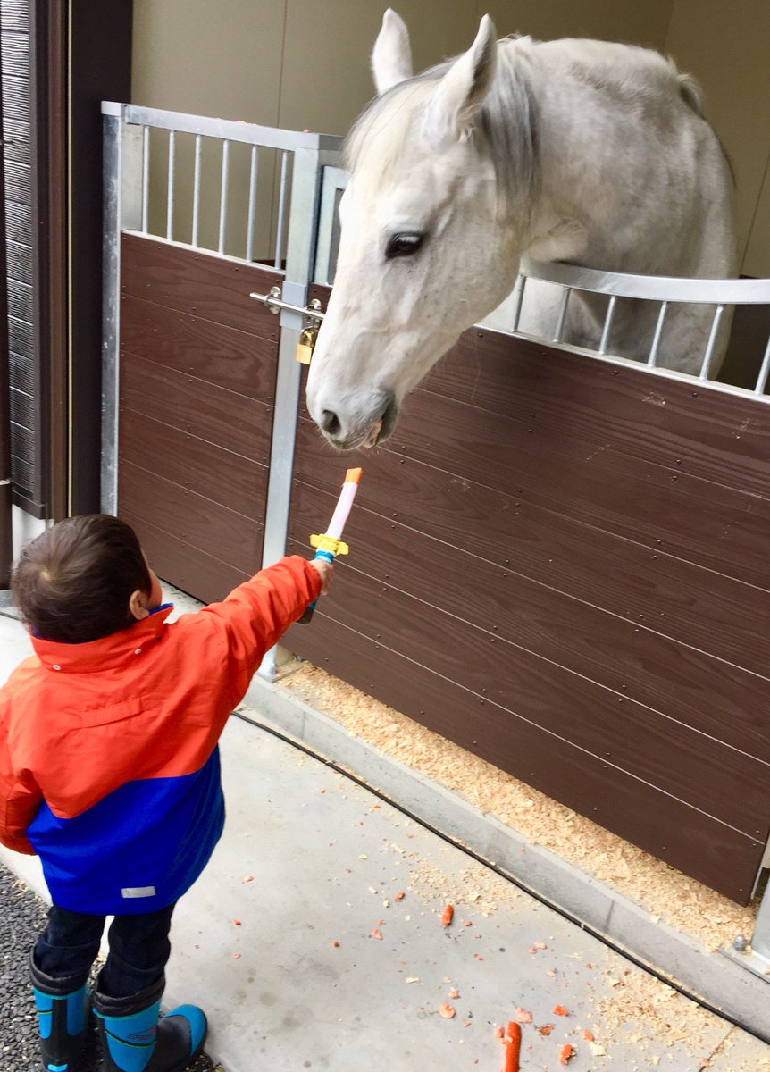 富山市観光協会 馬の餌やり体験 人参をおもちゃの刀に装着して こんな風にあげます 子供も大人も楽しめます 3 22 25日まで毎日やっていますので お気軽にお立ち寄りください 富山市まちなか観光案内所 T Co Iautow0krq Twitter 富山市観光協会 馬の餌やり体験 人参をおもちゃの刀に装着して こんな風にあげます 子供も大人も楽しめます 3 22 25日まで毎日やっていますので お気軽にお立ち寄りください 富山市まちなか観光案内所 T Co Iautow0krq Twitter