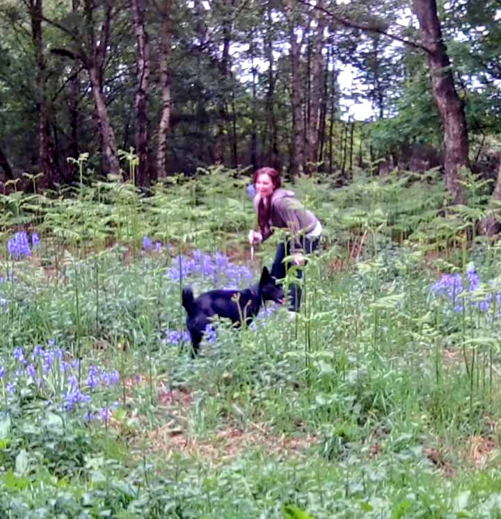 JackawawaC's tweet photo. "Yeeeeeeees!!! Yippee!!! Wooooooof!! 🙌 #Spring has arrived mom!! Time for us to take our human for a run, run, catch, fetch &amp; run!!!" 😄 🐾💙🌸🌼🐾🍃

#SpringHasSprung #naturelovers #AnimalLovers #NatureIsBeautiful #doglovers #HappyNewWeek #LoveIsLoveEveryDay  🌺🌻🍀🍂🍃🌹🍄 https://t.co/7r2PzWFsL0