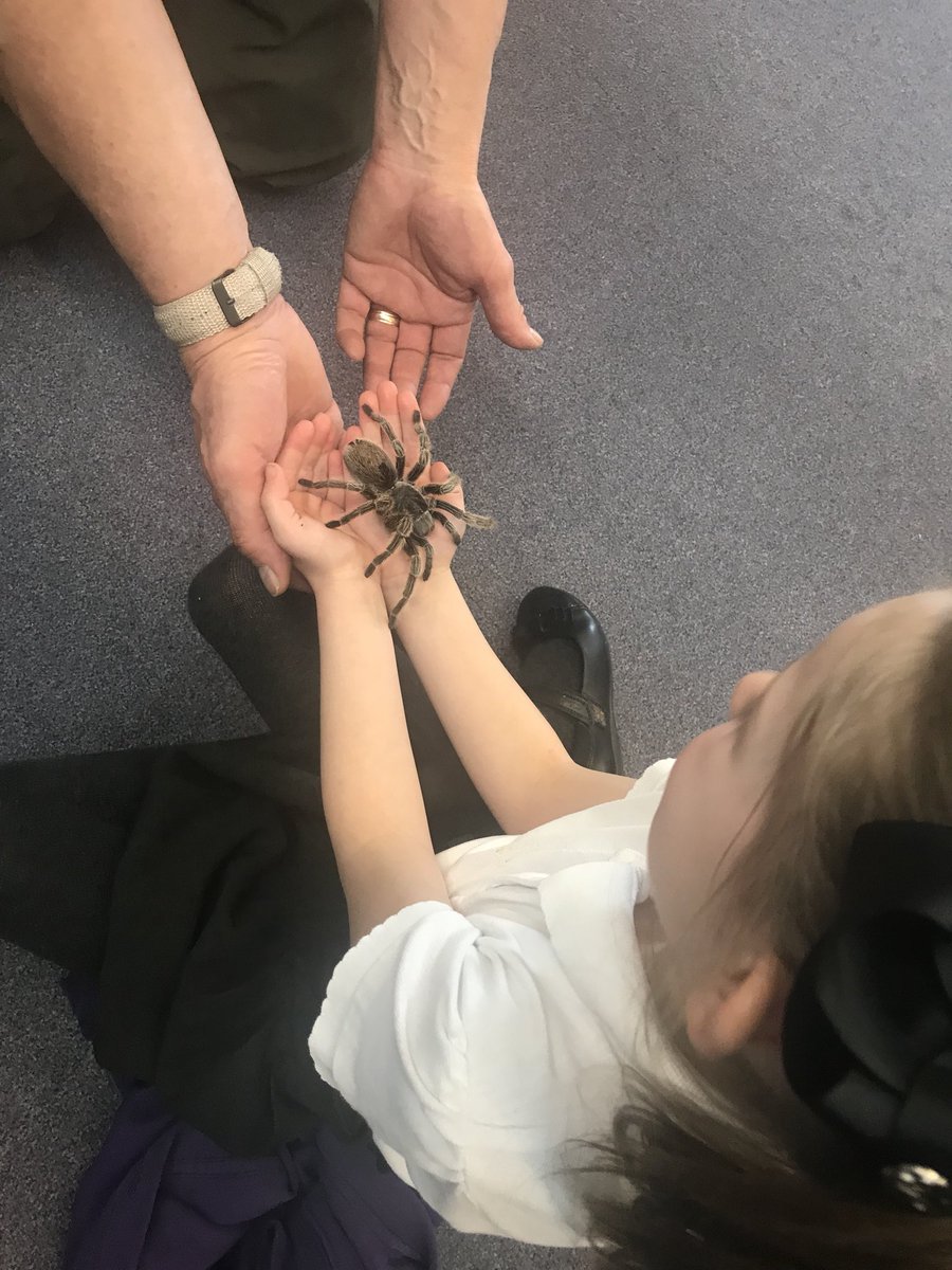 OPA_Darfield's tweet photo. Handling time for @OPAD_Y1. Darcie, meet Boris. Boris meet Darcie!#OPAImagine https://t.co/XXp5tfeq8M