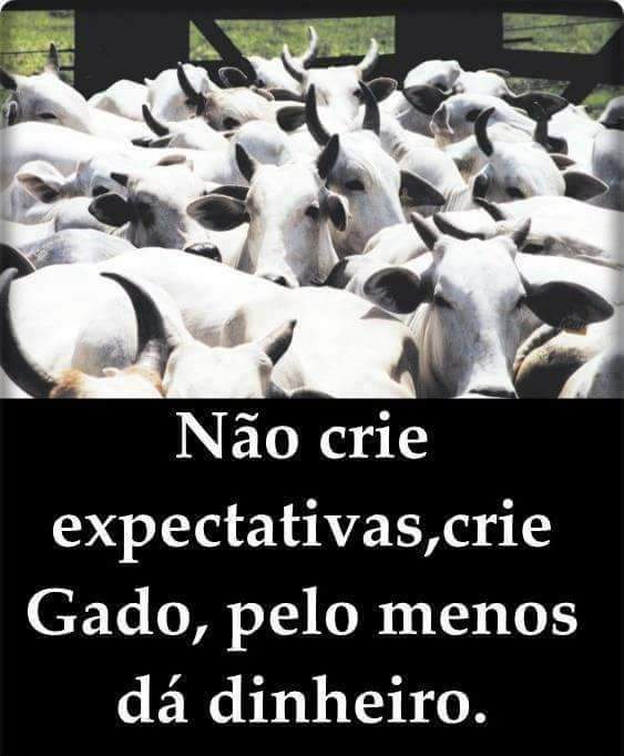 Ju tim beta (@julianacenedese) on Twitter photo 