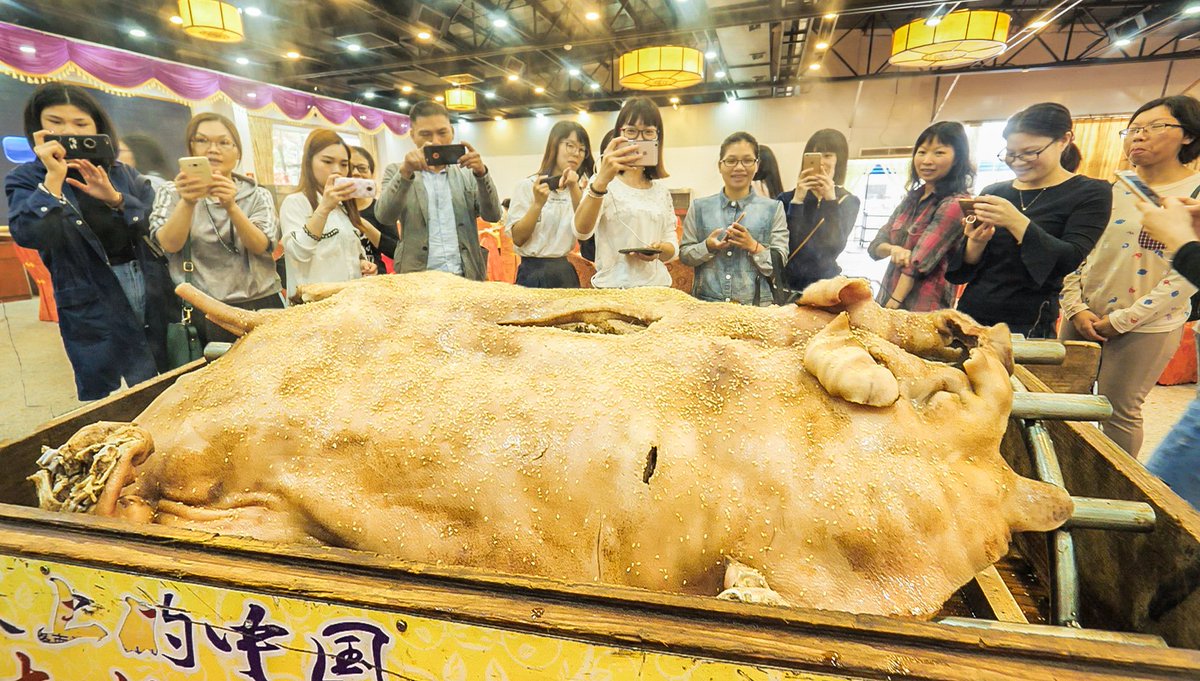 NEW VID is UP! Check it out here: youtu.be/NVX4F3olifQ
We found the most AMAZING whole steamed pig in Shunde, Southern China!