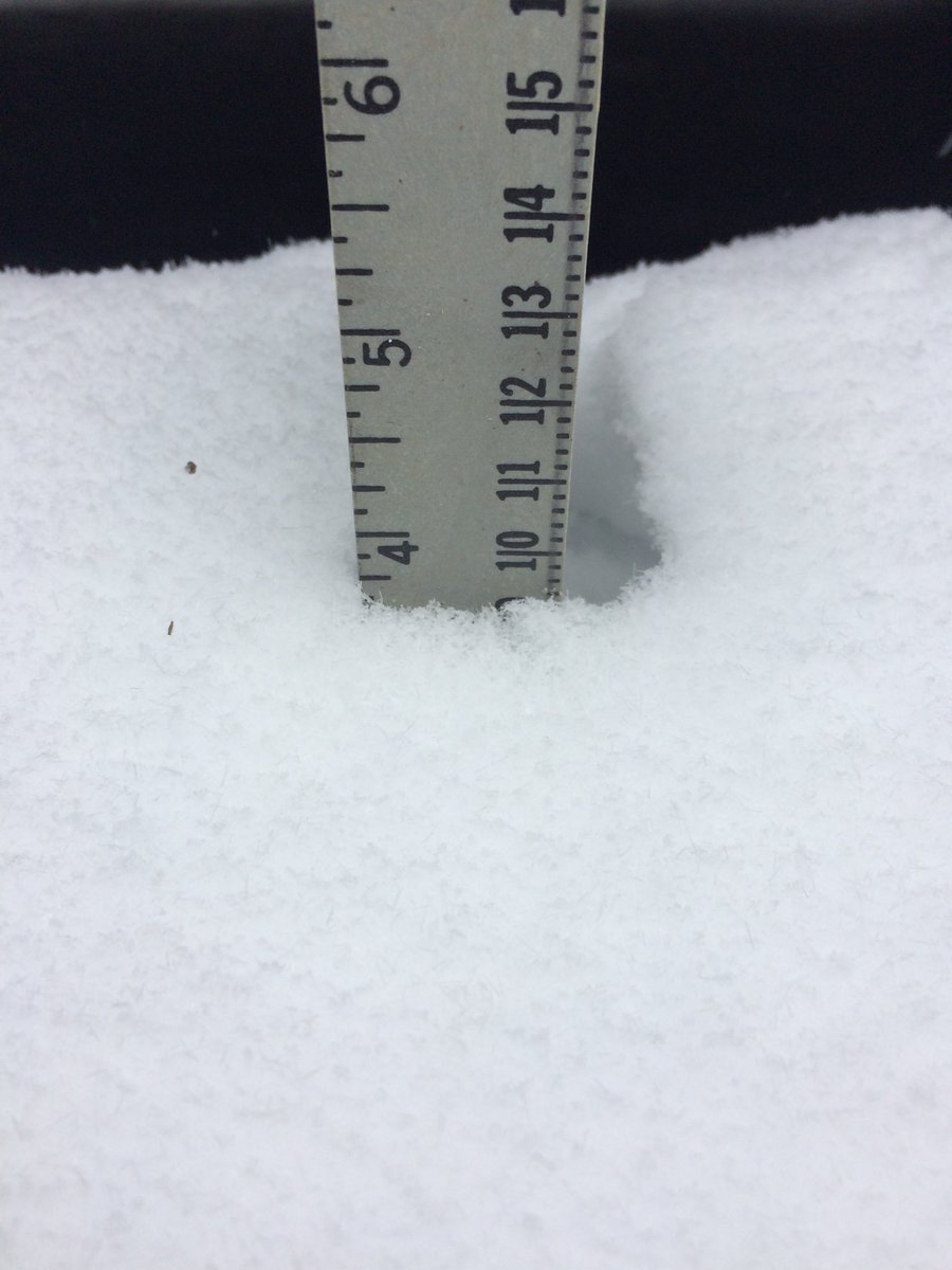 KaiJacksonFox45's tweet image. Unofficially about 4 inches of snow piled up next to my car. On a future nice Spring day I'm reposting this pic to say bye-bye winter! #MDsnow2018 #springfever #FoxBaltimore