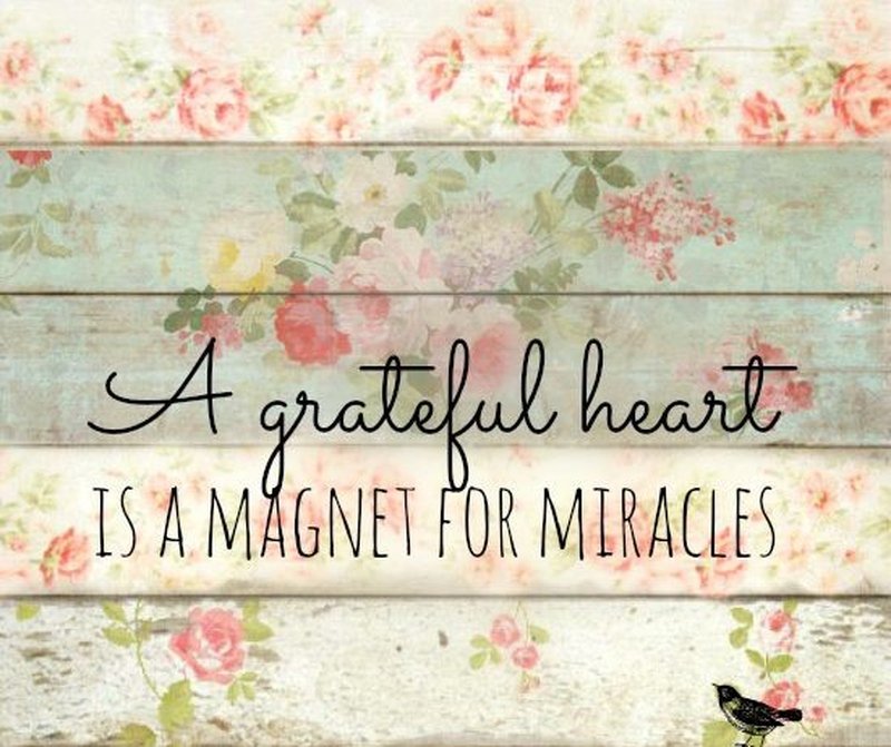 A #Grateful Heart.. #JoyTrain #Joy #Love #Peace #Gratitude RT @pkamla1 @maymcc