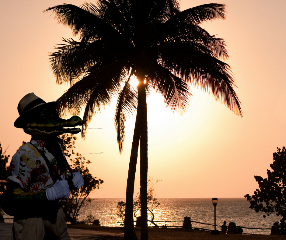 KocoOfficial's tweet photo. La primavera ya está aquí ! 
Koco desea que florezca paz y amor en sus corazones ! #cuba # #Primavera #Koco #ElNuevoReyDelMambo #cocodrilos
#Primavera #Koco #ElNuevoReyDelMambo https://t.co/a22oCVEwSE