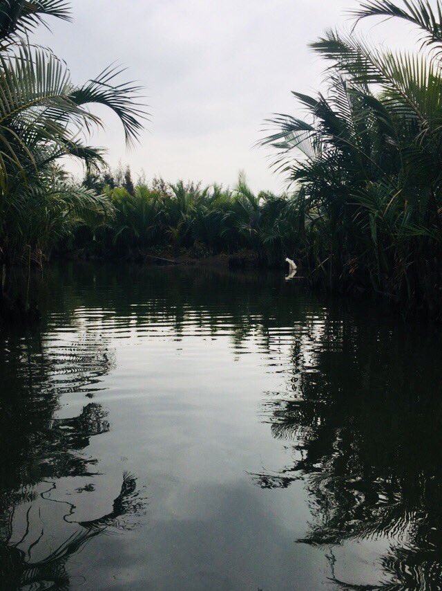 #NOFILTER  Vietnam #bambooboat #mekong