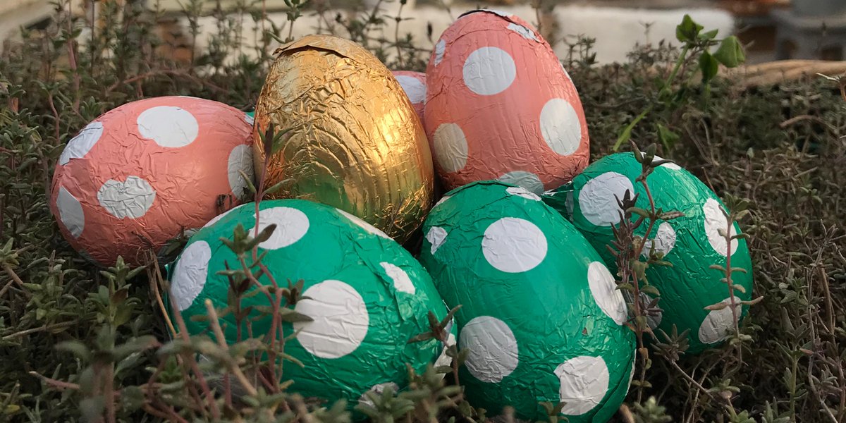 Wat ga jij doen tijdens de paasdagen? Kom langs in het gezellige DLC Café en geniet van een heerlijk speciale paas high tea! Geen zin in een high tea? Geniet dan van een heerlijk uitgebreide paaslunch. Reserveer snel voordat het te laat is! ow.ly/MH9J30j2SiA