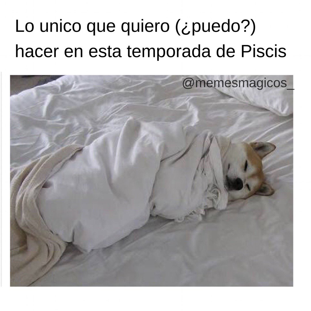 roxyspiders_'s tweet photo. Ya casi termina, queridos. Agárrense fuerte. #MemesMagicos https://t.co/RO2x5TRji0