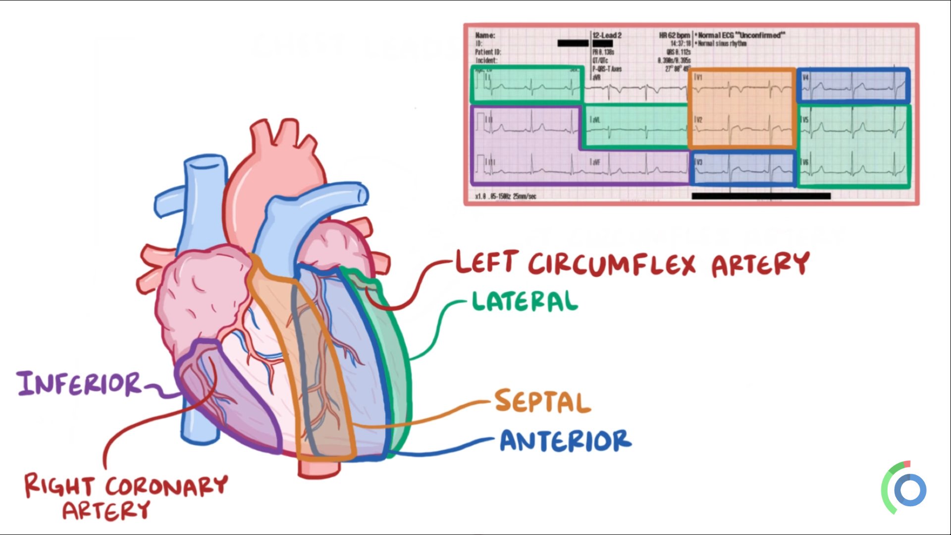 Osmosis Prime ECG Series Osmosis edu.svet.gob.gt