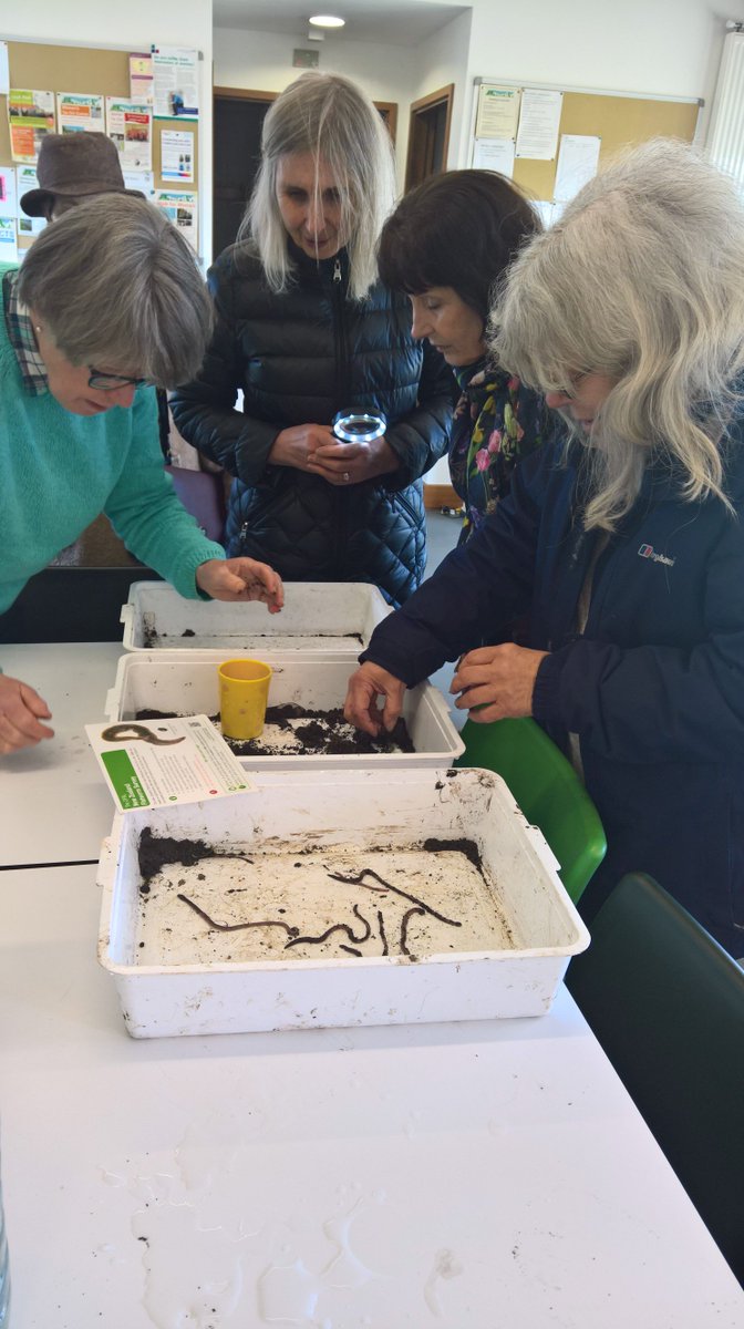 TCVWF's tweet photo. @OPALnature soil and Earthworm survey with the Lloyd Park Sharing Heritage +50s group. Lots of #Earthworms &amp; lots of fun ! @TCVtweets https://t.co/ccLTvsWkGr