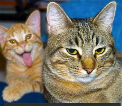 todo mundo tem um amigo meio louco!