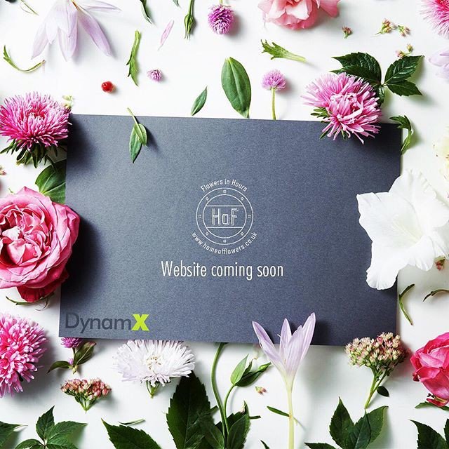 DynamxDesign's tweet image. New eCommerce website coming very soon at DynamX Design.  Get yours today crwd.fr/2ptN4Ga #webdesign #ecommerce #onlineshop #flow...