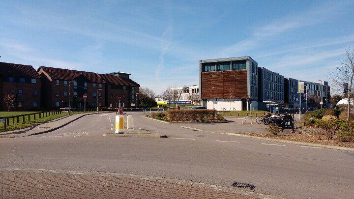 RG Berkson tweet media