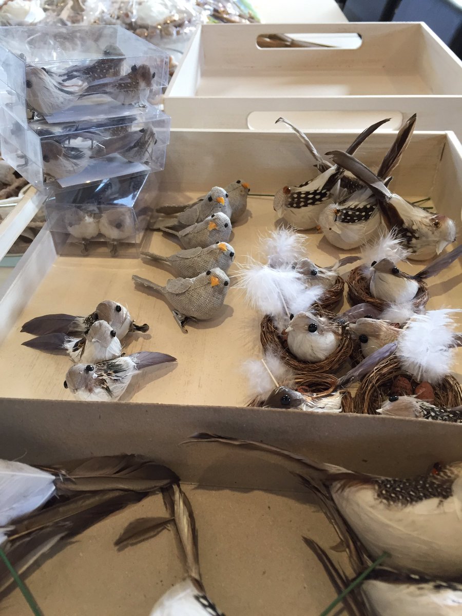 Voorjaars vogeltjes uitzoeken  3 voor 1€