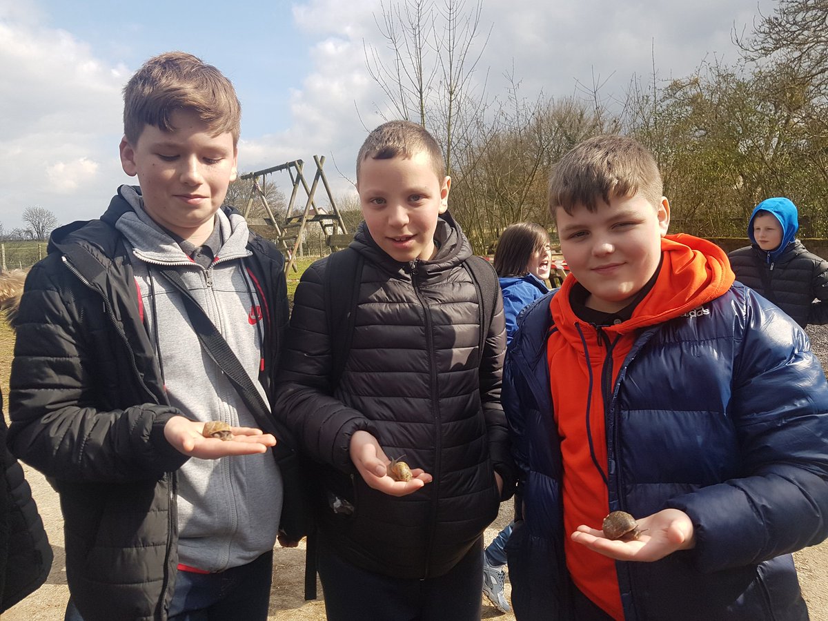 BeckMFL's tweet image. Escargots! #France2018