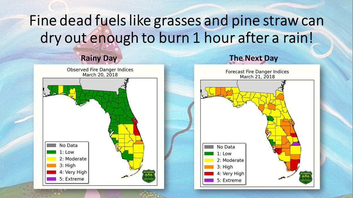 Did You Know? Wind can dry out dead vegetation enough to burn one hour after the rain! See your Fire Danger Index here: currentweather.freshfromflorida.com/fdi-report.html