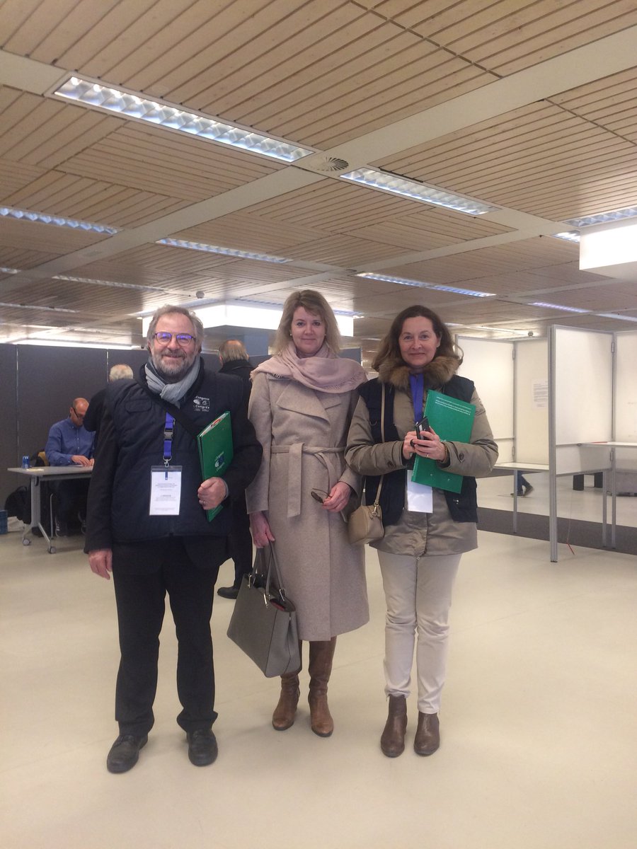 HARALD M. BERGMANN tweet media