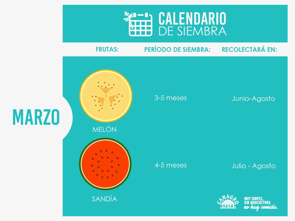 ¡Continuemos MARZO con productividad!

Te recomendamos algunas frutas que puedes cultivar desde tu hogar. 
#CAMAGRO #MuySimpleSinAgriculturaNoHayComida