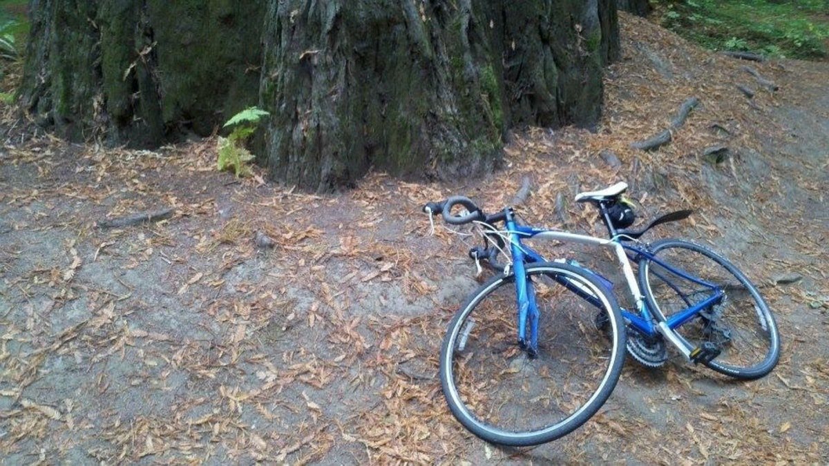 specialized dolce triple