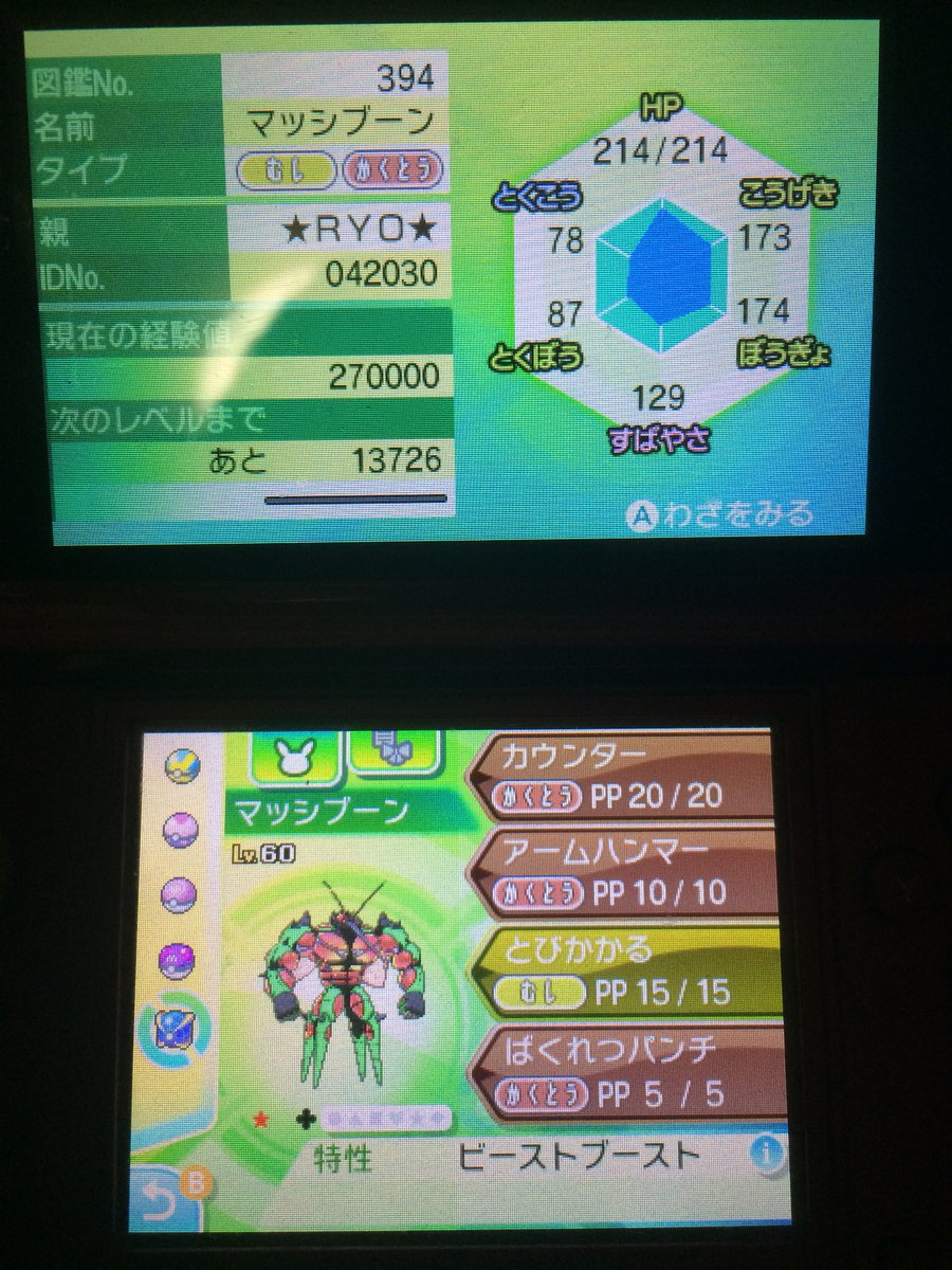 テリー ポケモンにわか廃人 マッシブーン色違い来た 確率超えちゃったな まあ前回のアクジがだいぶ早く来たし今回シンクロ成功してるからいいか とくこうvは見なかったことにしよう