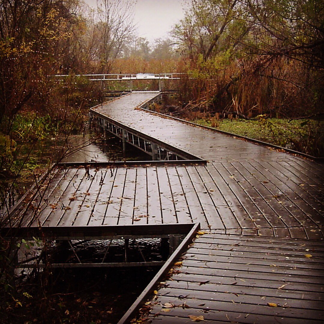 tigerdocks's tweet photo. Tiger Docks can design, build and ship dock kits anywhere across the country!
#tigerdocks #tigerboatdocks #wetlands #boardwalk #texasstateuniversity #sanmarcostx #texas #trexdecking #steelframe #galvanizedsteel #outdoors #getoutside #wegoeverywhere #dockkits #dockbuilder https://t.co/bkCMqRnDzG