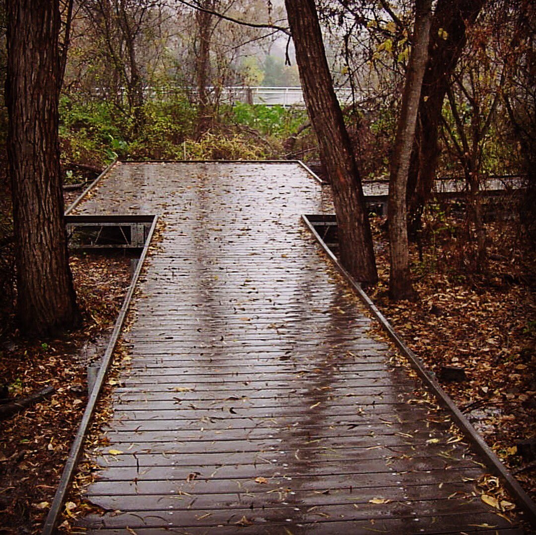 tigerdocks's tweet photo. Tiger Docks can design, build and ship dock kits anywhere across the country!
#tigerdocks #tigerboatdocks #wetlands #boardwalk #texasstateuniversity #sanmarcostx #texas #trexdecking #steelframe #galvanizedsteel #outdoors #getoutside #wegoeverywhere #dockkits #dockbuilder https://t.co/bkCMqRnDzG