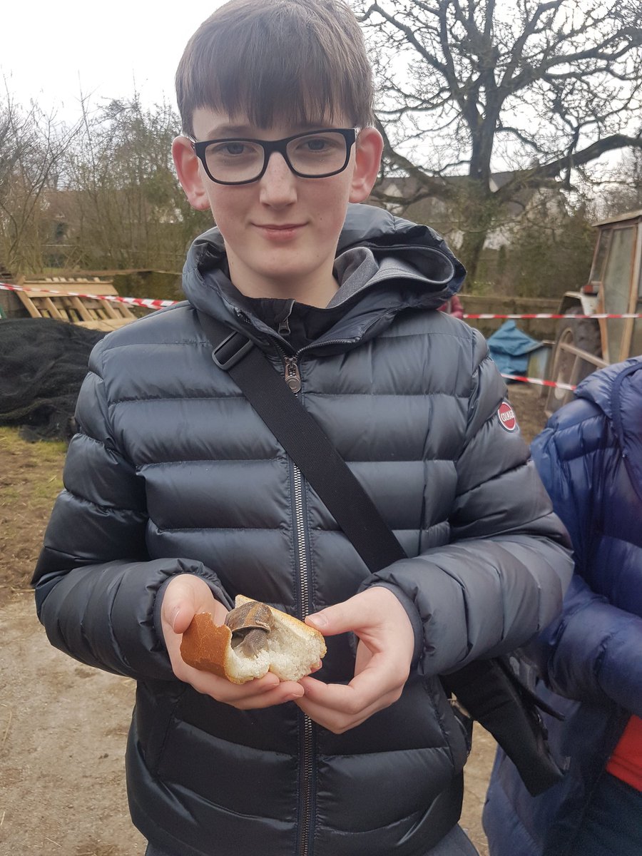 BeckMFL's tweet image. Luca feeding the snails their favourite food #France2018