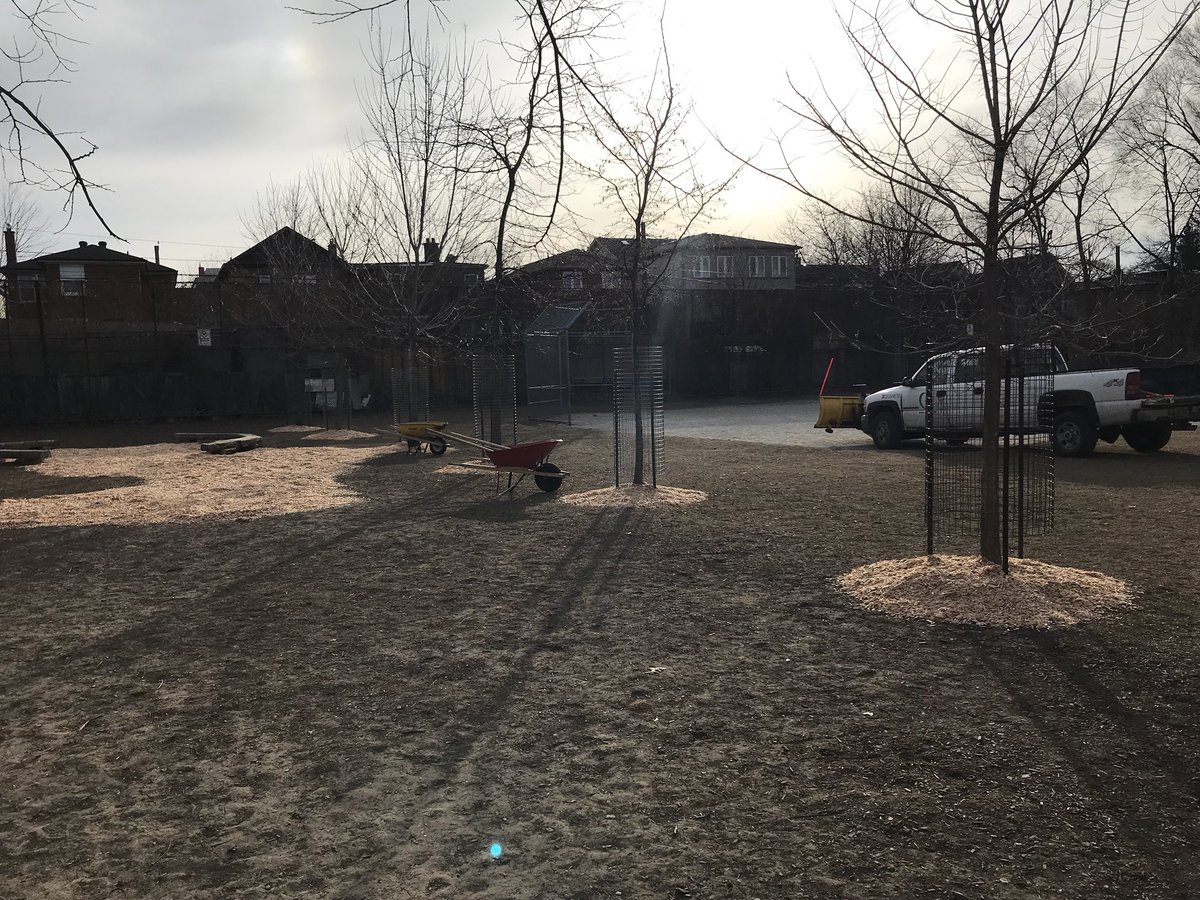 We are getting new mulch for our young trees and for parts of our yard. 👍🌳☀️🌧