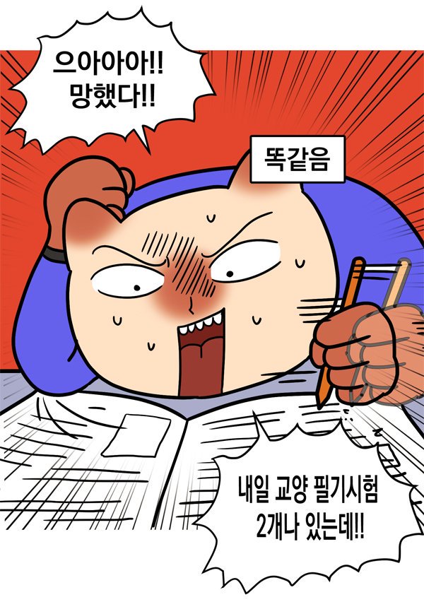 빨루 tweet media