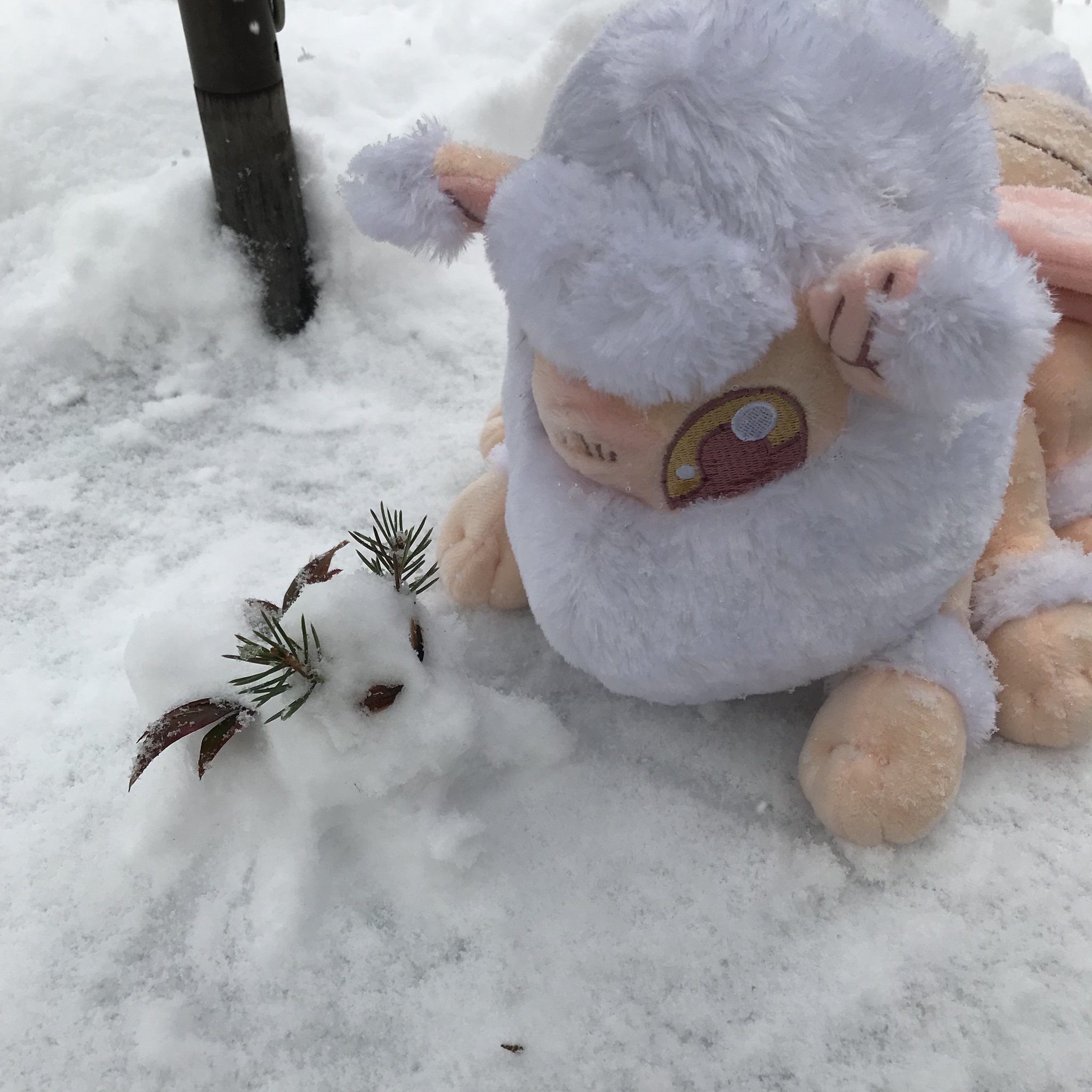 venezuelan poodle moth plush