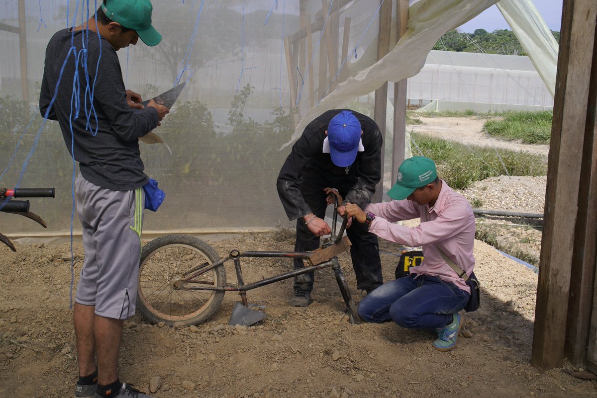 Televisión UNAL tweet media