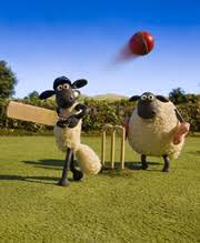 PaulLough4's tweet photo. Just driven past Walcis Park looks like @GtWitchinghamCC budget cut has forced them to use sheep to keep outfield short. 🐑 🐑 https://t.co/kZOhQJmi99
