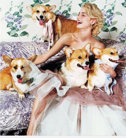 #DogCelebration #dogsoftwitter #dogsofinstagram #dogsarelove #doglovers #doghealth #dogwellness #dog #doglover #cute #delight_pets #funpetloveclub #inspiredbypets #pet Why Puppy Potty Training Sucks More than the new Star Wars #dogs #instadog Visit :- dogfashion.org/top-5-ways-abo…