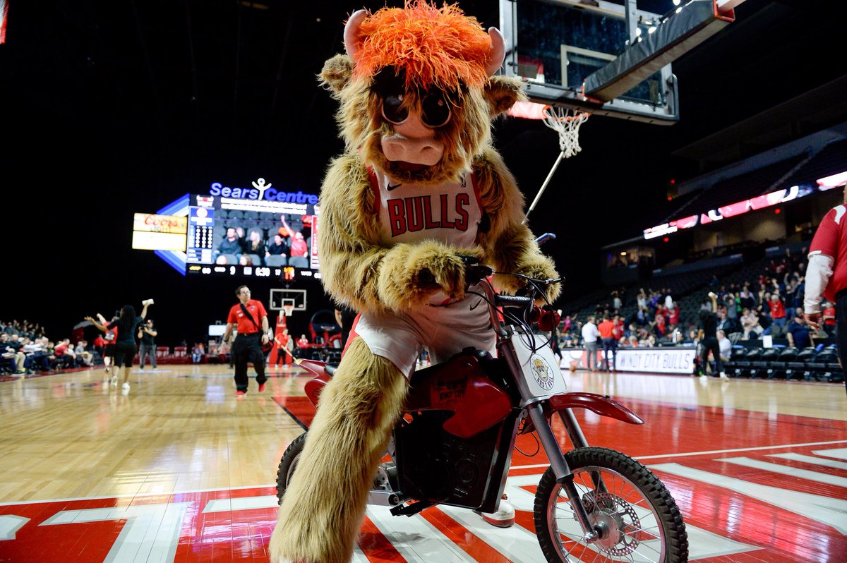 jlamedia8's tweet image. Windy City Bulls mascot Gus T Bull