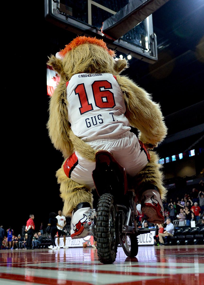 jlamedia8's tweet image. Windy City Bulls mascot Gus T Bull