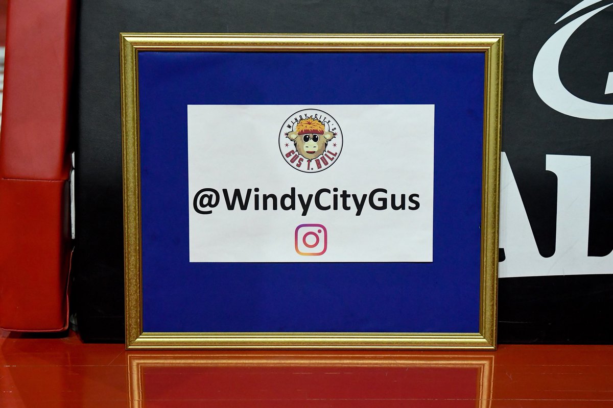 jlamedia8's tweet image. Windy City Bulls mascot Gus T Bull