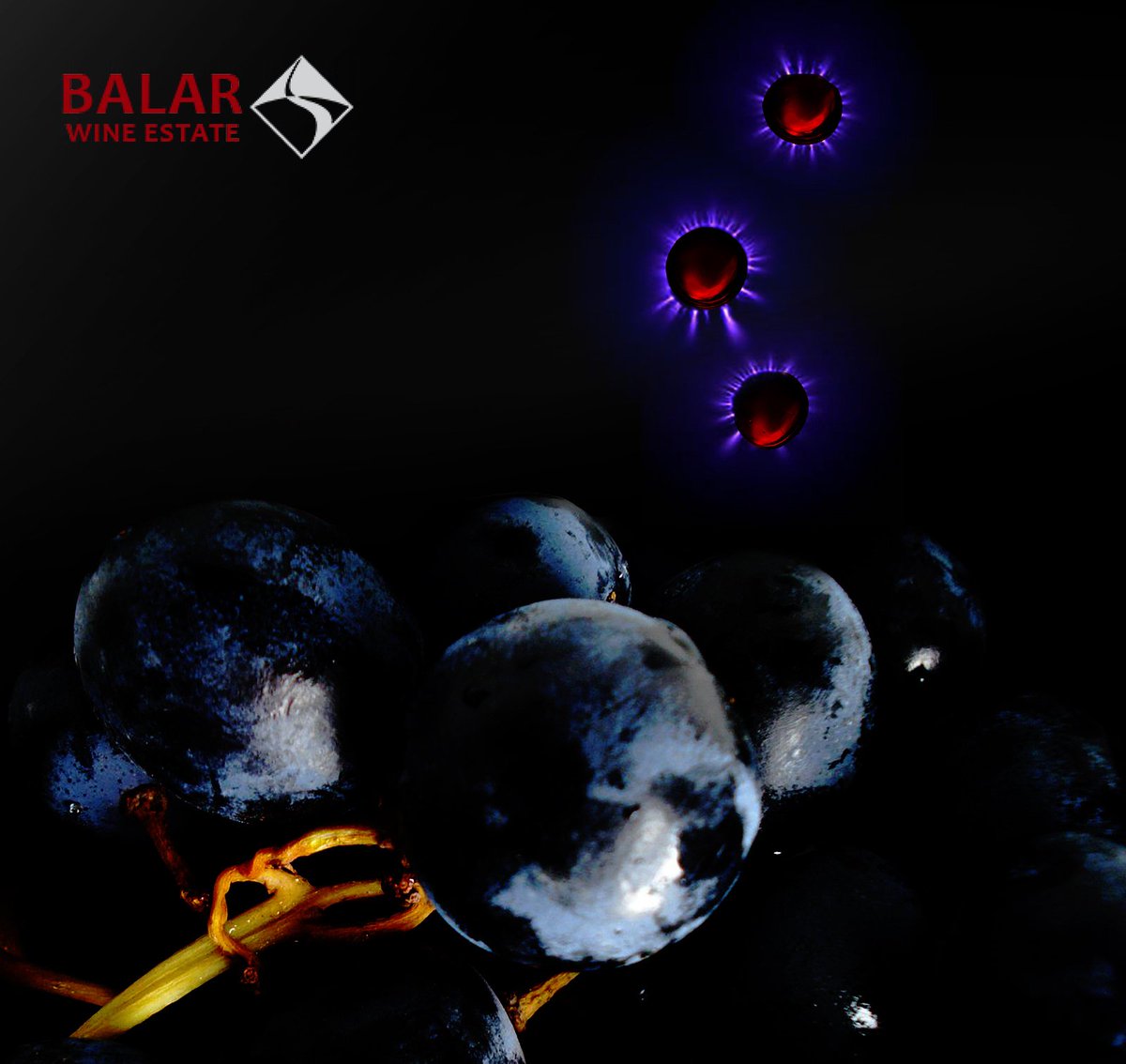 BalarWines's tweet photo. Vitalised with #Music red #Wine by Balar Winery! https://t.co/aUqQkgB9tE