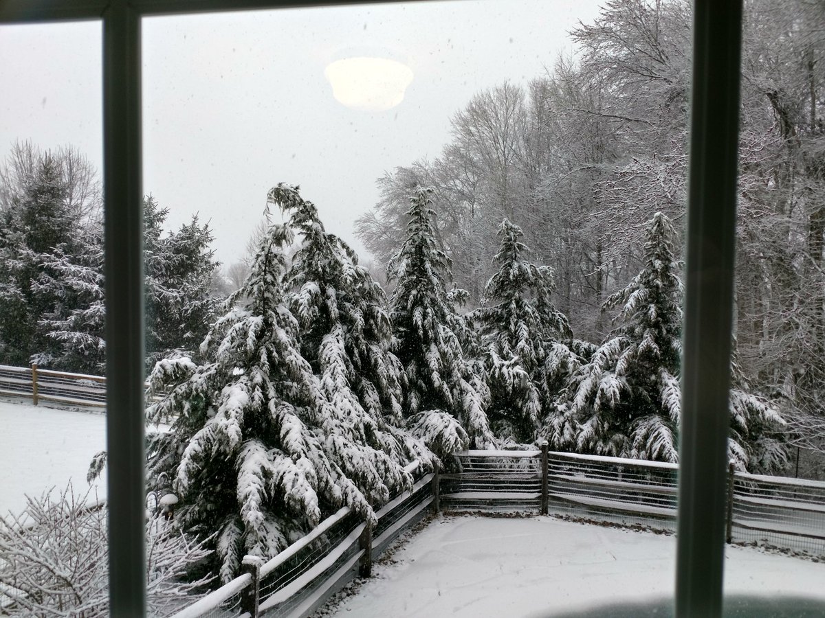 TimWerbrich's tweet image. Date: March 21st.  
No school...12 inches of snow expected today
Me:. Alexa, play Winter Wonderland
#notaChristmassong #SpringHasNotSprung #goingtoschooluntilJuly