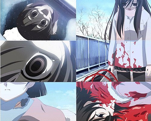 Shushen Bloom 轢殺マジ嫌いです