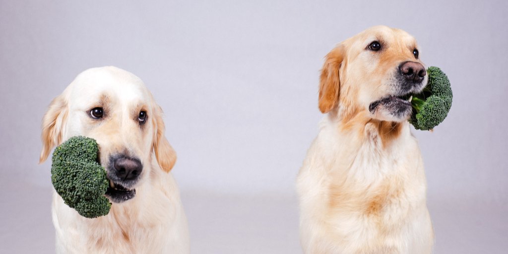 Keys 2 Community tweet media