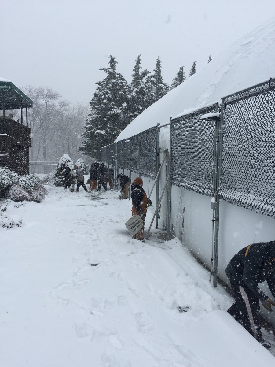 ManorCCGMC's tweet image. Busy morning for the crew. Shoveling round snow and got a truck unstuck!! #seconddayofspring