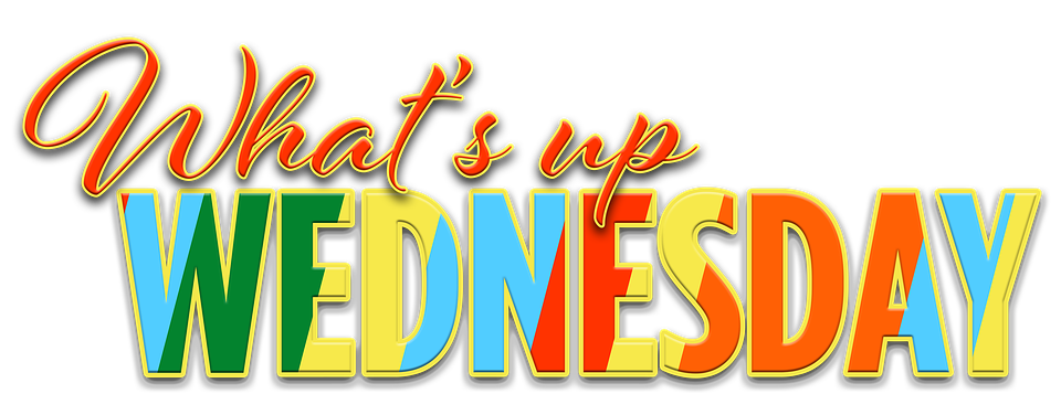 Sexy_Model_Fl's tweet photo. It's Wednesday. Hump Day! What's Up Wednesday? What are you doing? #Wednesday #humpday

https://t.co/PJp9resUNA - Career seekers can find their dream job, and employers can find the perfect candidate #jobs #employer #employee #career #newjob #dreamjob #hiring #JobTips #Résumé https://t.co/kWbjlaKE0a