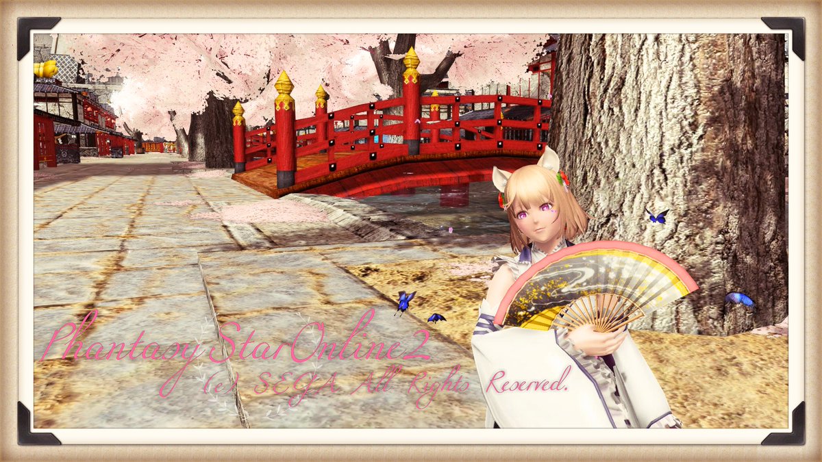 PSO2_yuzutan's tweet image. 久しぶりのSS！
同じポーズしかない＆メメタないという不幸の連鎖でSS撮れませんでした...

たくさんの♡＆RTいつもありがとうございます、おかげ様でいつも投稿が楽しいっ！

#メンテの日なのでssを貼る 
#フォロワーのアークスがrtしてくれてまだ見ぬアークスと繋がりたい 
#メンテの日なのでSS貼る