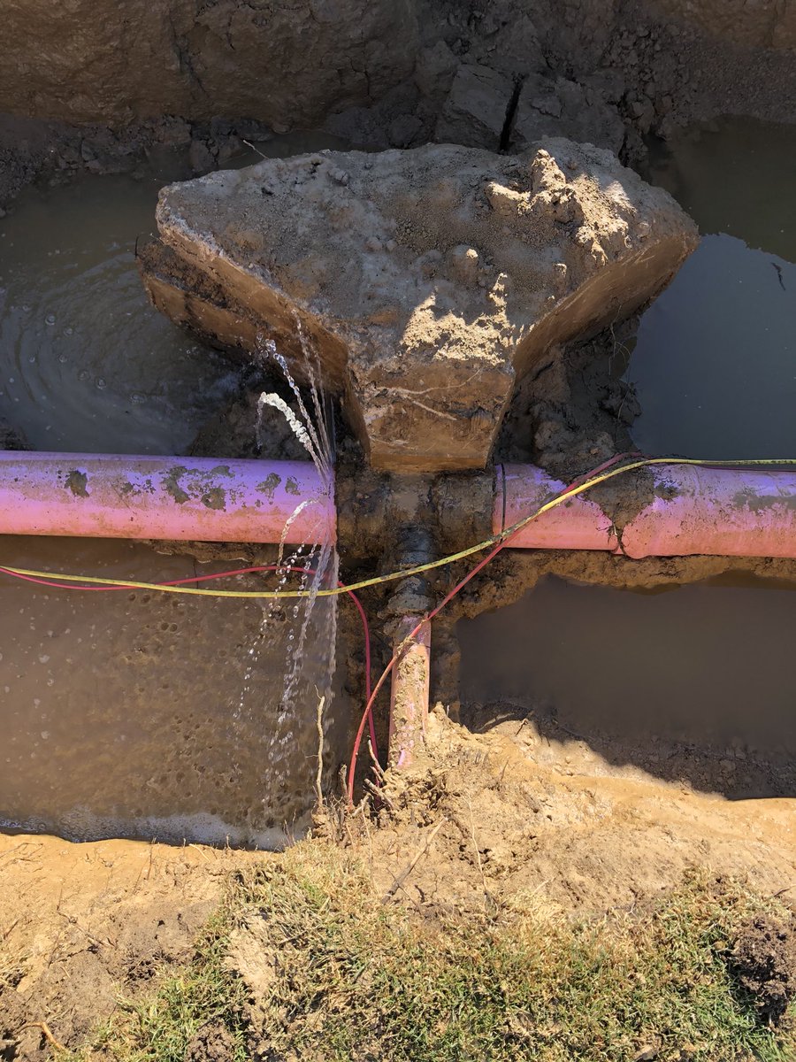 Kevin Kallas tweet media