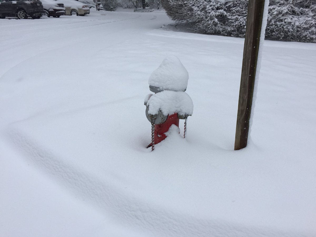 billdelaney's tweet photo. Practicing what I preach! #ffxstorm #fcfrd ❄️☃️🌨 https://t.co/VWOMOil8Em