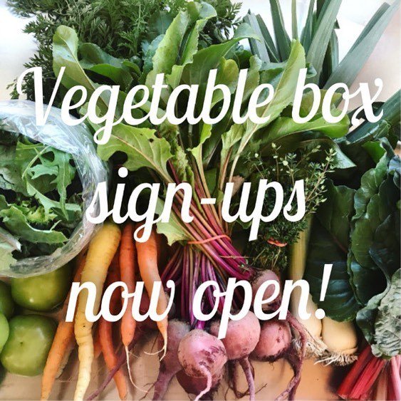 Become a member of The Talking Farm this year with three different levels of membership to choose from (link in bio). The highest level, or garden level, includes a weekly box of a diverse selection of extremely fresh Skokie-grown vegetables. The Talking… ift.tt/2GP8xku