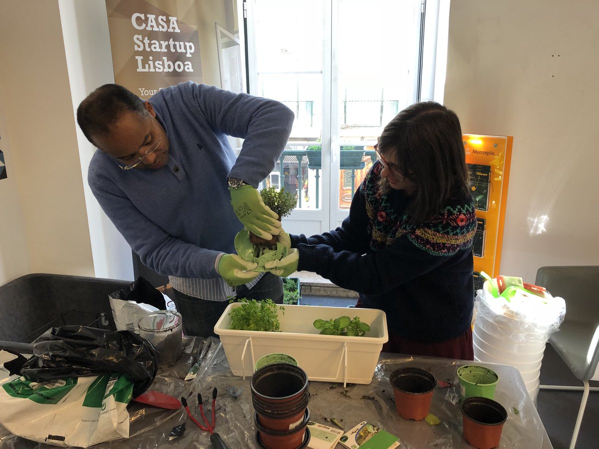 Work in progress! #GreenDay