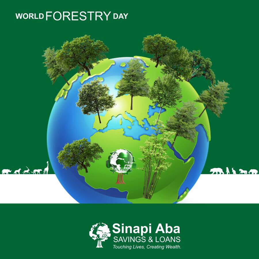Our forest needs your protection!