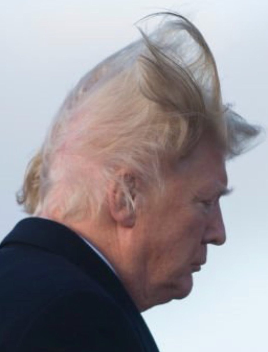 basementvegan's tweet image. #Counterexample