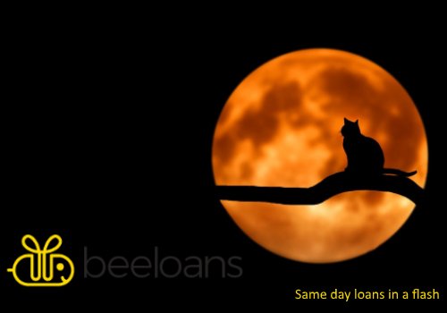 BeeLoans's tweet photo. If finding a suitable lender seems a distant dream, then head to https://t.co/34yjKnhdAW. We offer a completely free to use, no-obligation #loan search. Look no further, and search over 50 trusted lenders for a cash loan in minutes. https://t.co/igXQlO2cd0